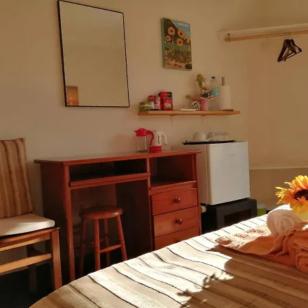 City's Heart * Ponta Delgada